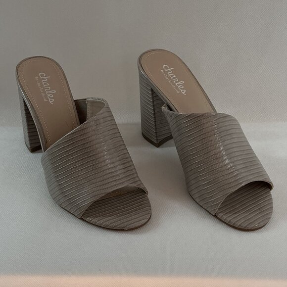 Charles by Charles David Reveal Dark Taupe Lizard Print Chucky Heel Sandals - Picture 3 of 7